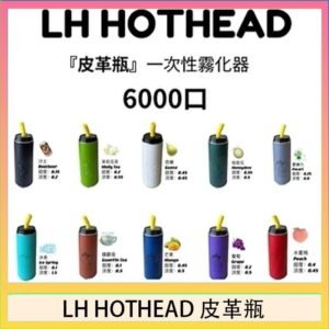 LH HOTHEAD皮革瓶電子煙可充電6000口一次性