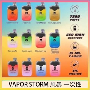 Vapor Storm風暴電子煙7500口（5%）一次性