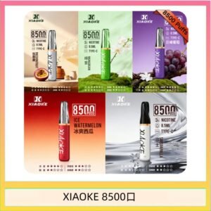 梟客XIAOKE一次性電子菸拋棄式8500口