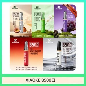 梟客XIAOKE一次性電子菸拋棄式8500口